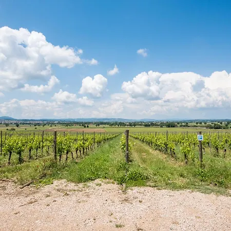 Farm stay Greppino Montepulciano